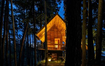 Comment choisir un chalet bois habitable en kit : surface, essence de bois, isolation et démarches